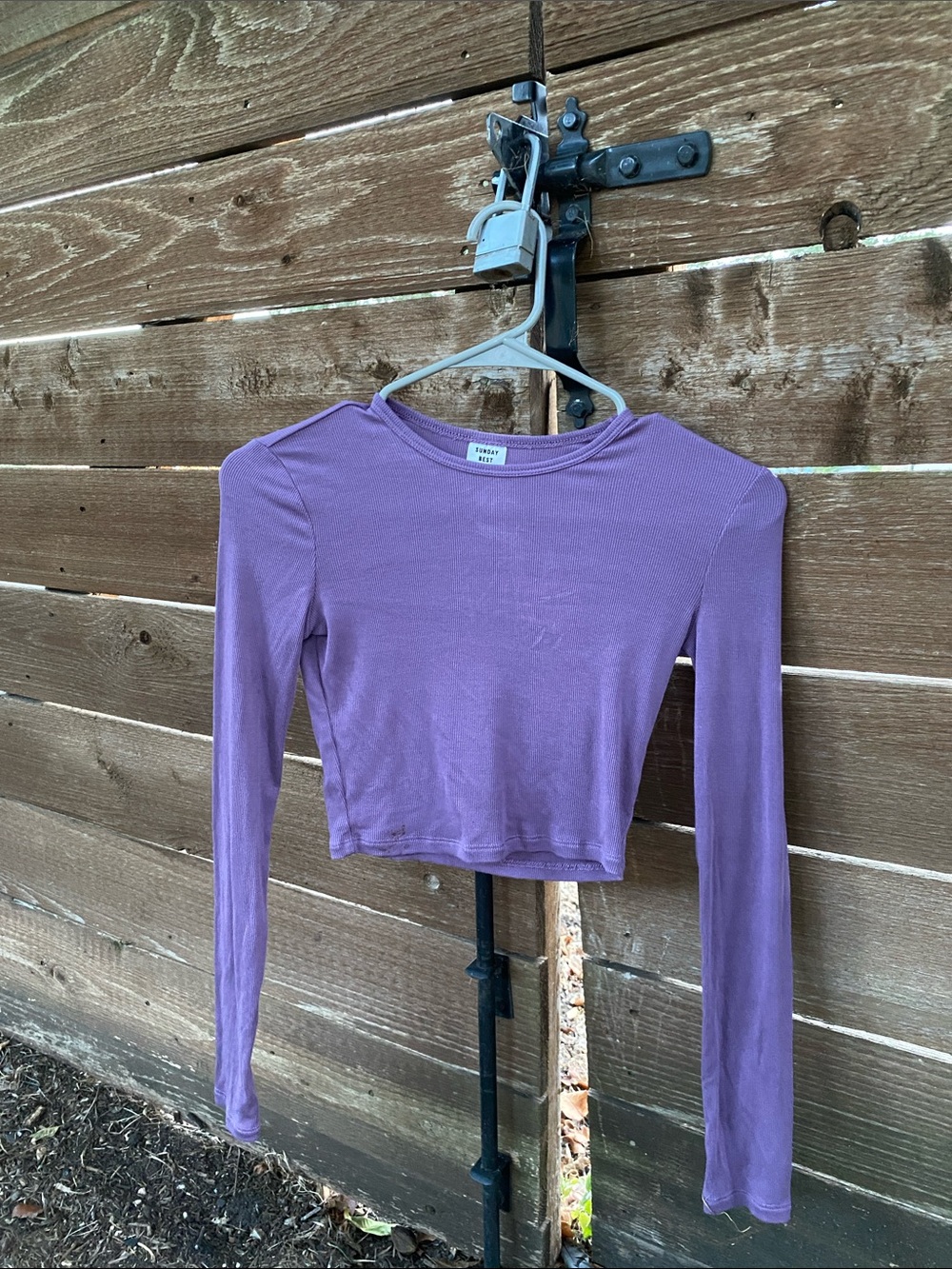 Brandy Melville Purple Long-Sleeve Cropped Tee